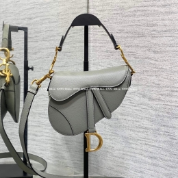 디올 새들백 (19.5cm)