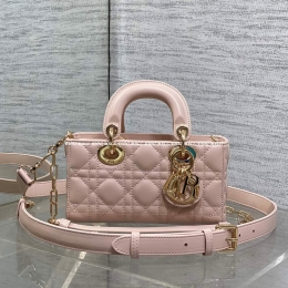 디올디조이백 (19cm)