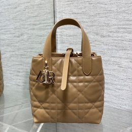 디올뚜주흐버티컬토트백 (16cm)