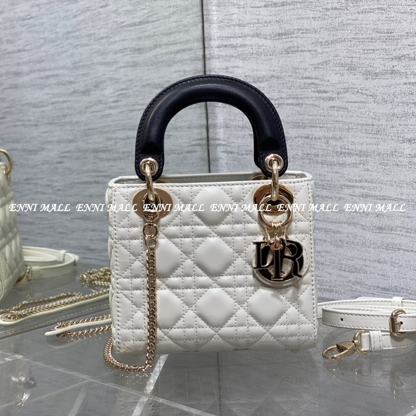 디올 레이디백 (17cm)
