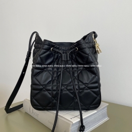 디올 디모션백 (23cm)