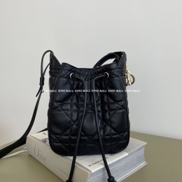 디올 디모션백 (17cm)