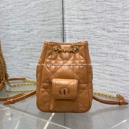 디올 카로백 (15cm)