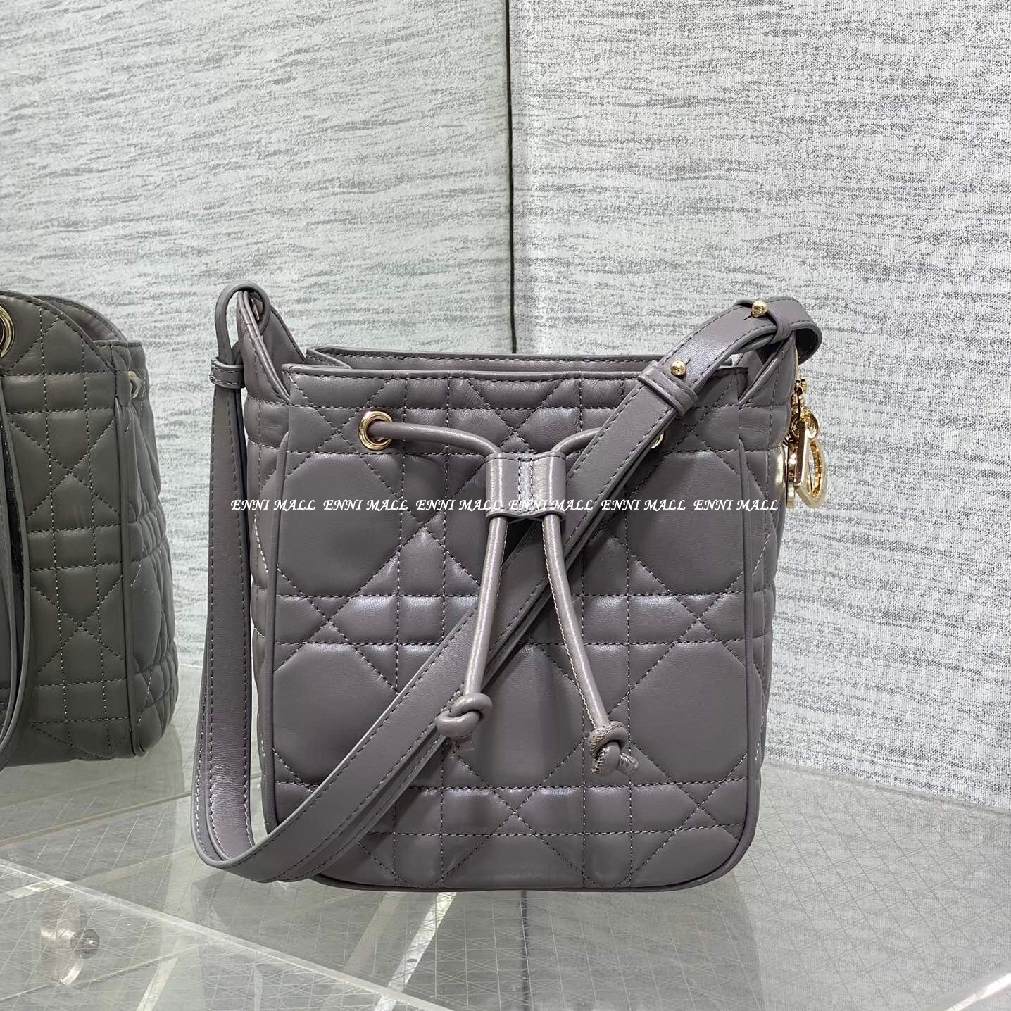 디올 디모션백 (17cm)