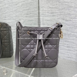 디올 디모션백 (17cm)