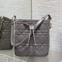 디올 디모션백 (23cm)