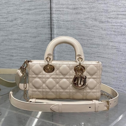 디올디조이백 (22cm)