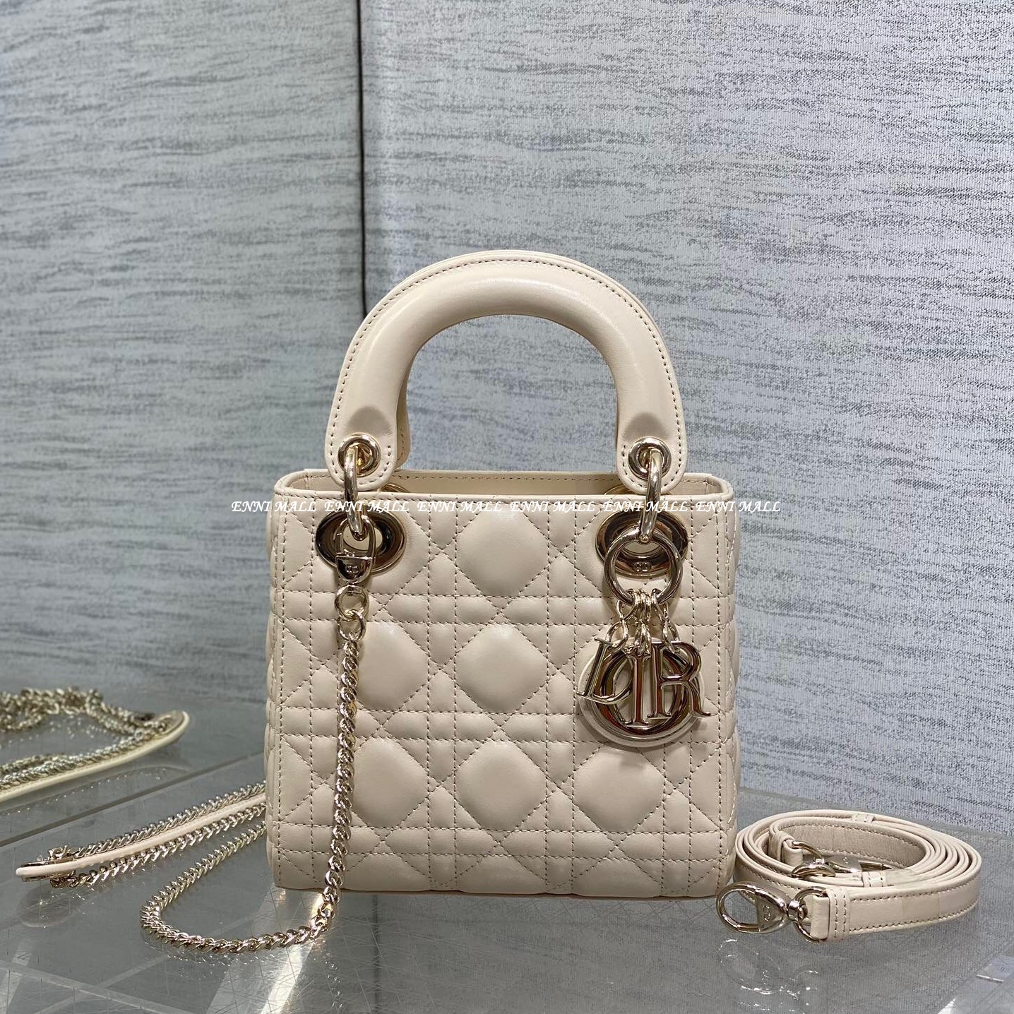 디올 레이디백 (17cm)
