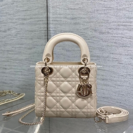 디올 레이디백 (17cm)