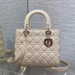 디올 레이디백 (24cm)
