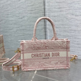 디올 북토트백 (21.5cm)