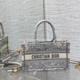 디올 북토트백 (21.5cm)