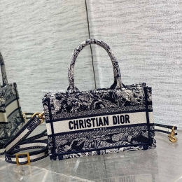 디올 북토트백 (21.5cm)