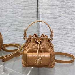 디올 카로 버킷백 (14cm)