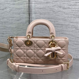 디올 디조이백 (22cm)